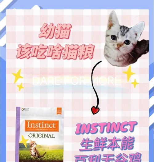 幼猫免疫力低下时应如何选择猫粮？