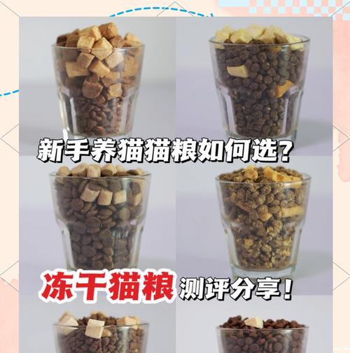 猫粮加冻干有什么好处？如何正确添加？