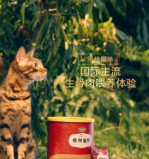 猫粮加冻干有什么好处？如何正确添加？