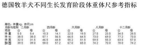 德牧幼犬的理想体重是多少？