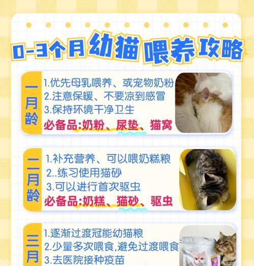 新幼猫到家怎么换猫粮？换粮的正确步骤是什么？