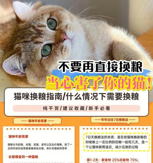 新幼猫到家怎么换猫粮？换粮的正确步骤是什么？
