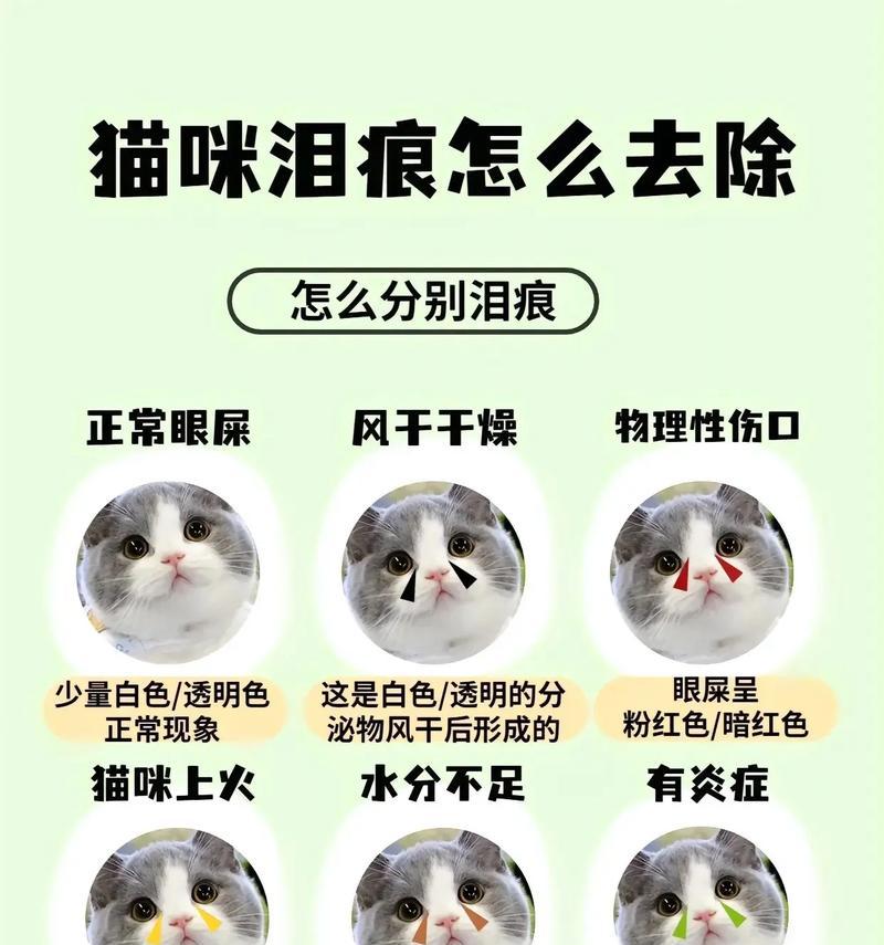 猫粮如何帮助治疗泪痕和除螨？其原理是什么？
