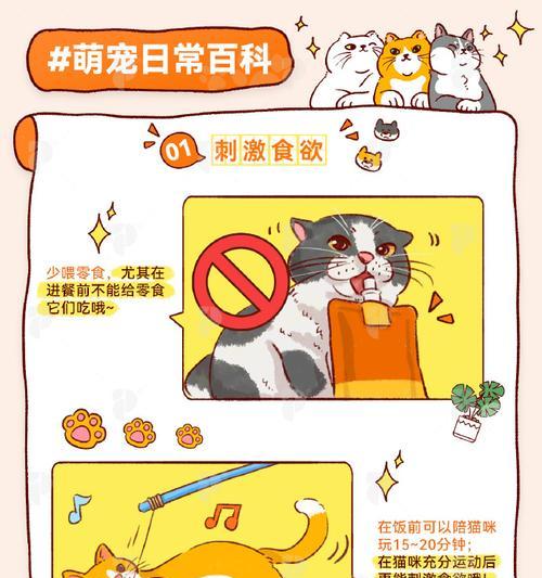 猫看主人倒很多猫粮怎么办？如何控制猫的食量？