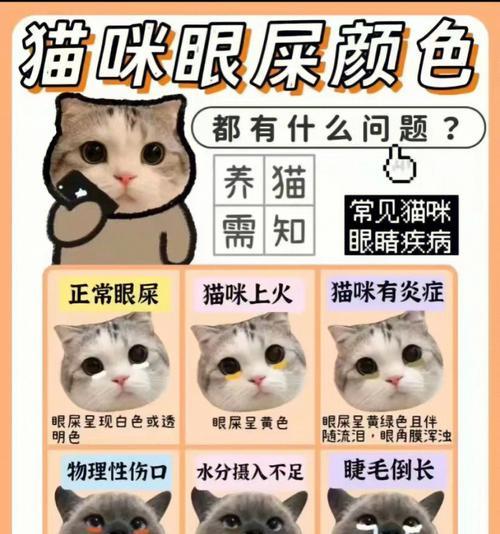 猫咪食用过期猫粮后流泪应如何处理？