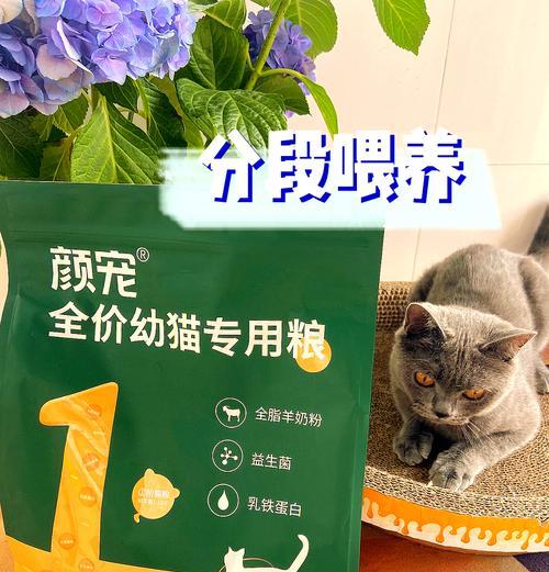 喂幼猫吃成人猫的猫粮会怎么样？有哪些风险？