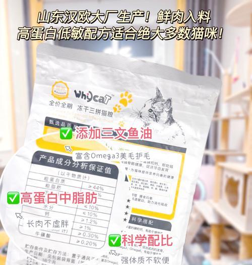 喂幼猫吃成人猫的猫粮会怎么样？有哪些风险？