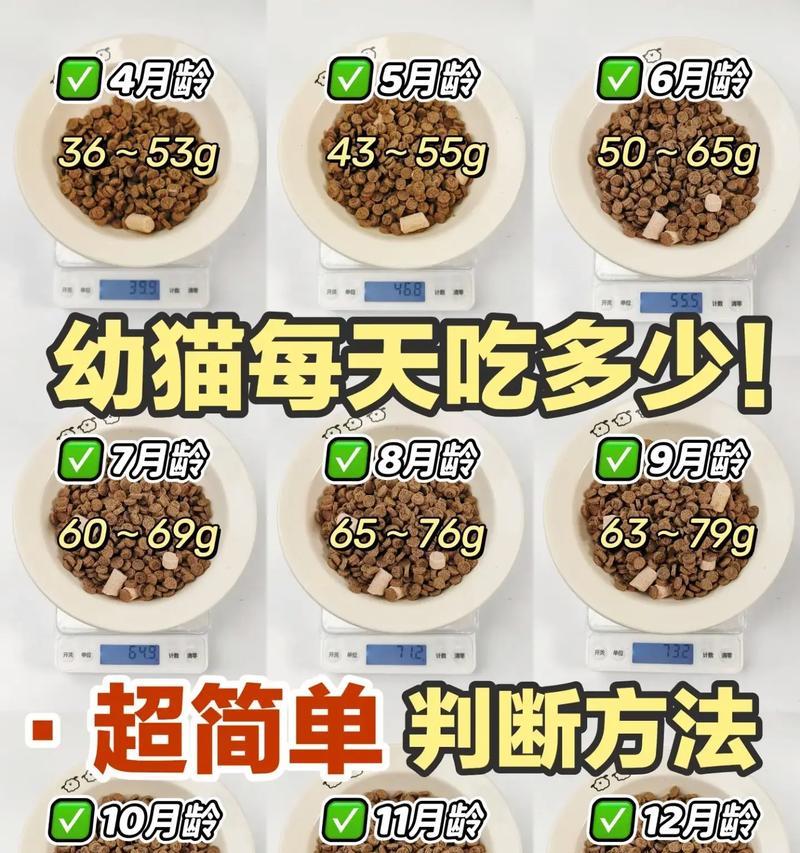 猫粮告罄时如何安抚猫咪？有哪些安抚猫咪的话语？
