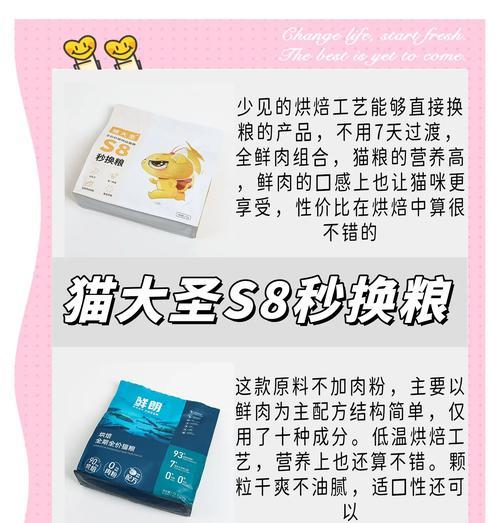 布偶猫适合哪种猫粮？猫碗选择有何讲究？