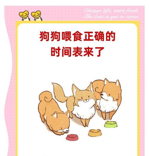 六只狗的喂食配粮方法是什么？