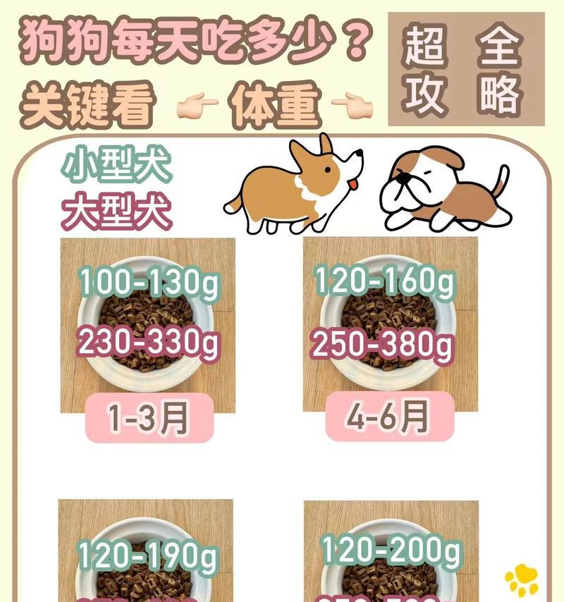 六只狗的喂食配粮方法是什么？