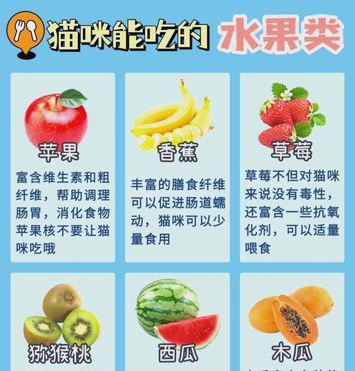 猫咪要少吃猫粮怎么回事？是健康问题还是饮食习惯？