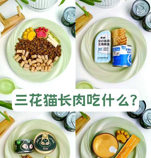 三花猫适合食用哪种猫粮？