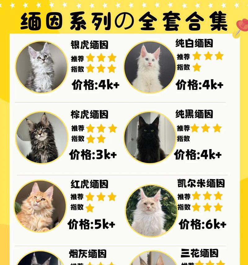 缅因猫幼猫的猫粮选择标准是什么？