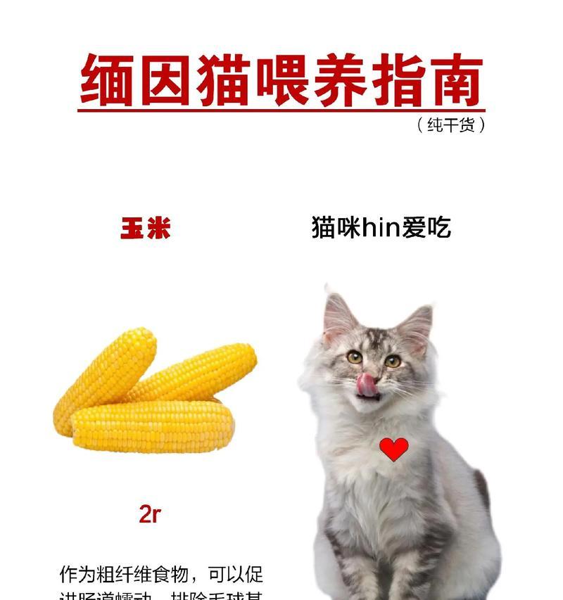 缅因猫幼猫的猫粮选择标准是什么？