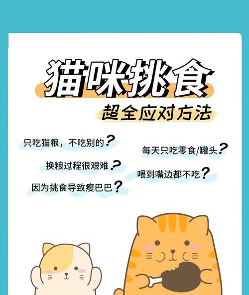猫咪偏爱罐头而不吃猫粮的原因是什么？