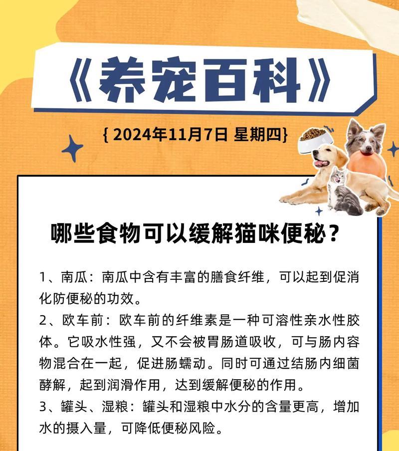 猫咪便秘时是否应该停止喂食猫粮？
