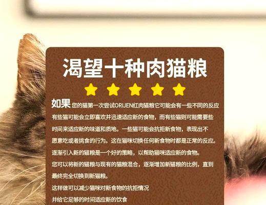 领养的猫咪如何正确更换猫粮？换粮步骤是什么？