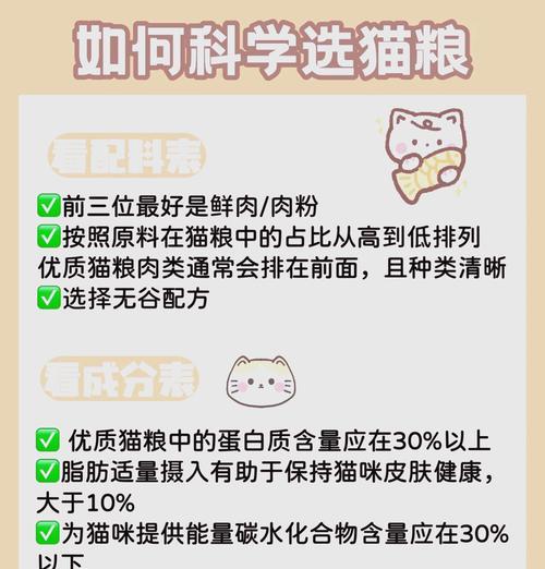如何为小猫挑选合适的猫粮？