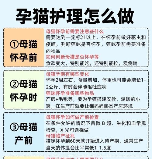 猫咪孕期如何喂食避免难产？