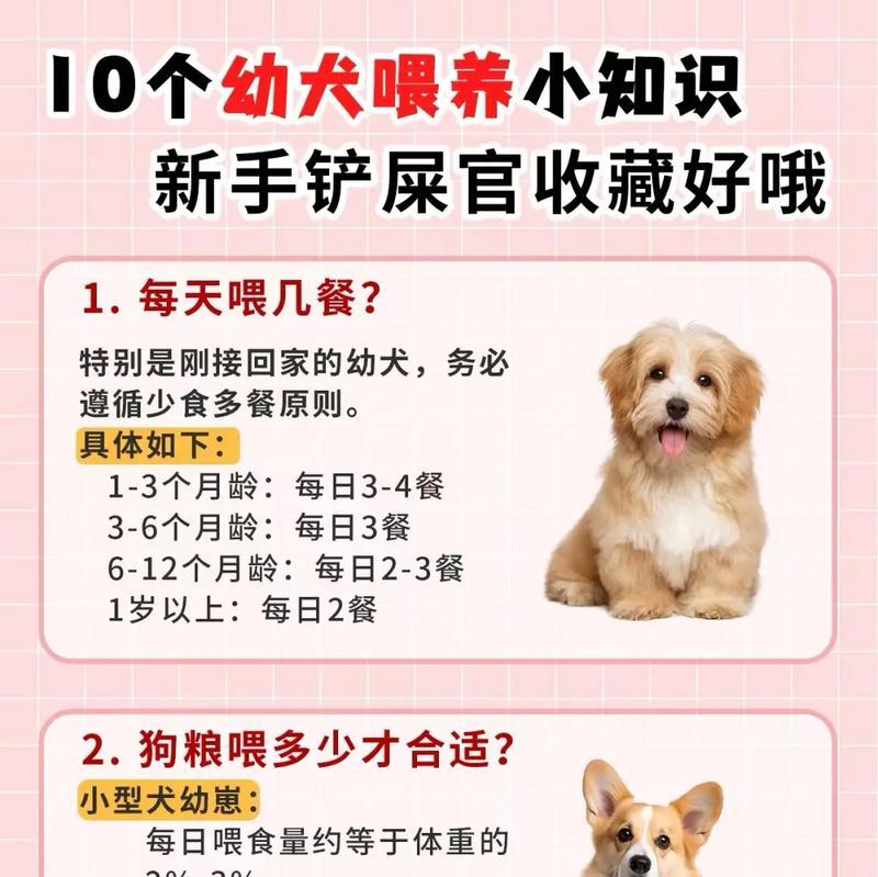 狗狗为何偏爱猫粮？