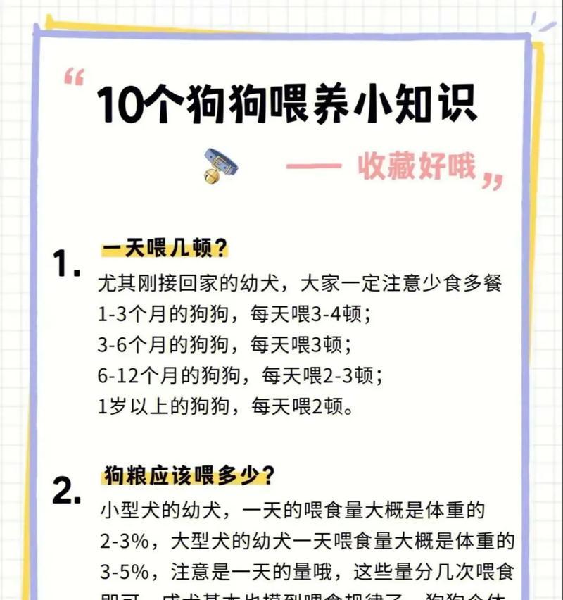 狗狗为何偏爱猫粮？