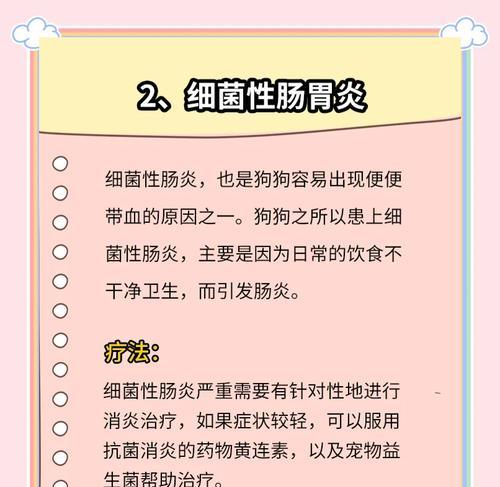 换粮导致狗狗拉血怎么处理？过渡期注意什么？