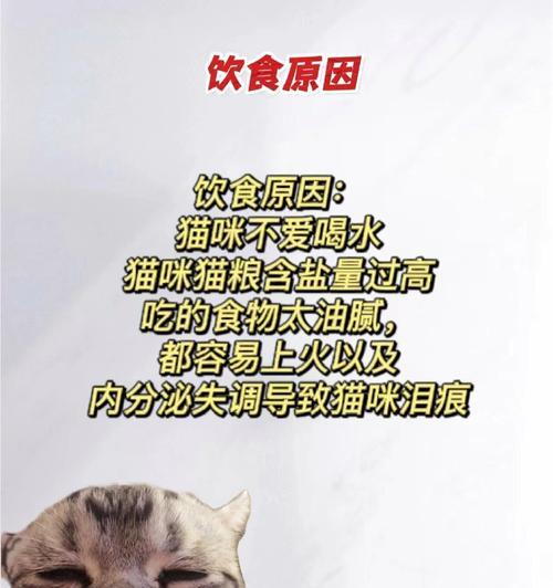 为什么猫咪吃了有泪痕的猫粮？原因是什么？