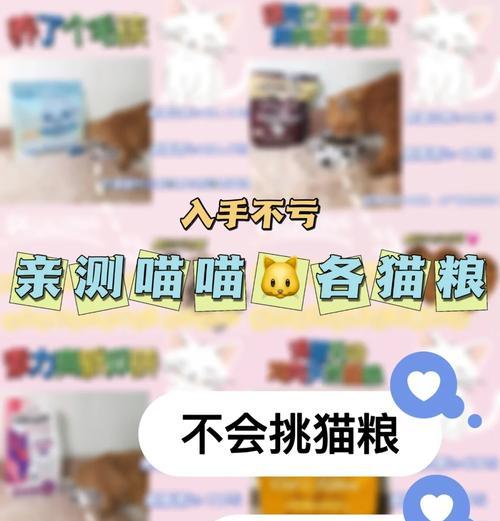 哪款软件可以评测全自动猫粮？