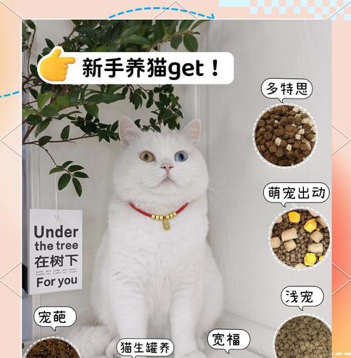 哪款软件可以评测全自动猫粮？