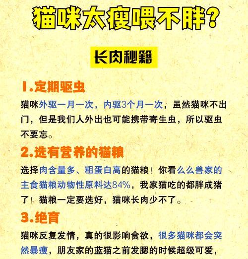 小猫拒食猫粮导致消瘦怎么办？可能的原因及对策？