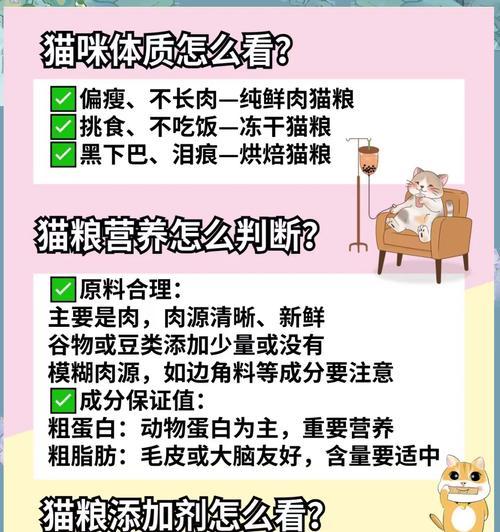自制猫粮为何要避免添加调料？有哪些注意事项？