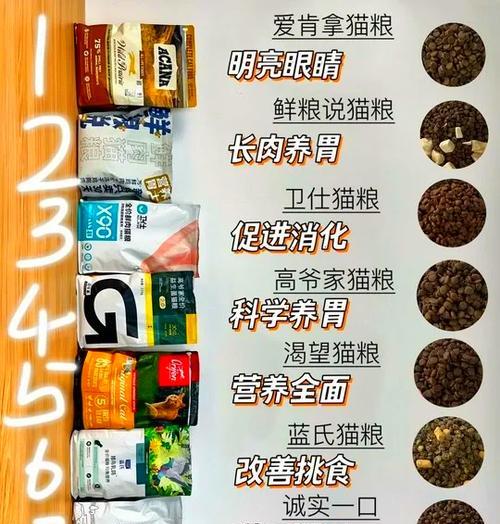 自制猫粮为何要避免添加调料？有哪些注意事项？