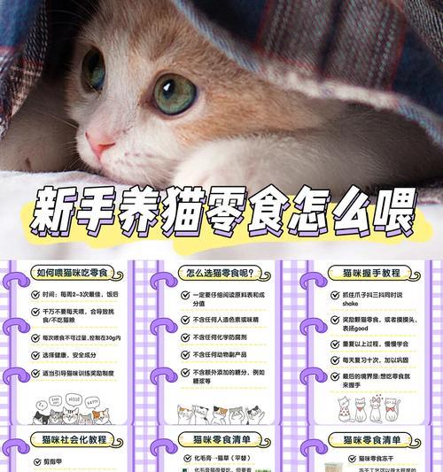 猫咪为何偏爱猫粮？如何引导猫咪尝试其他零食？