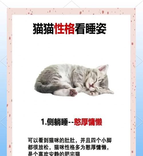 猫睡觉时放猫粮有何影响？