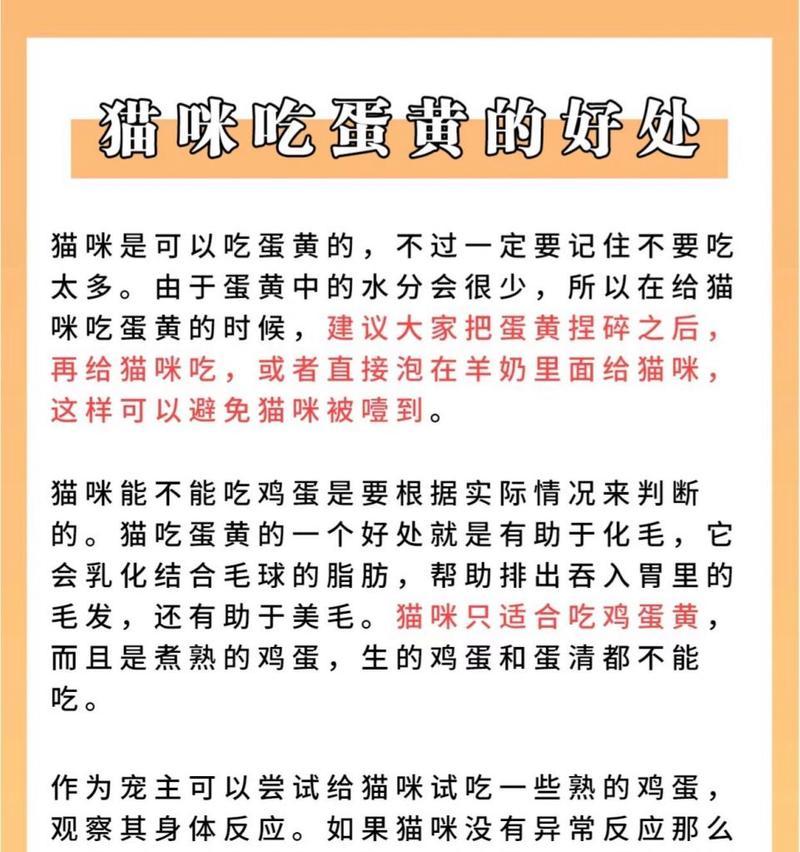宠物猫可以吃鸡蛋吗？鸡蛋的正确喂食方式是什么？