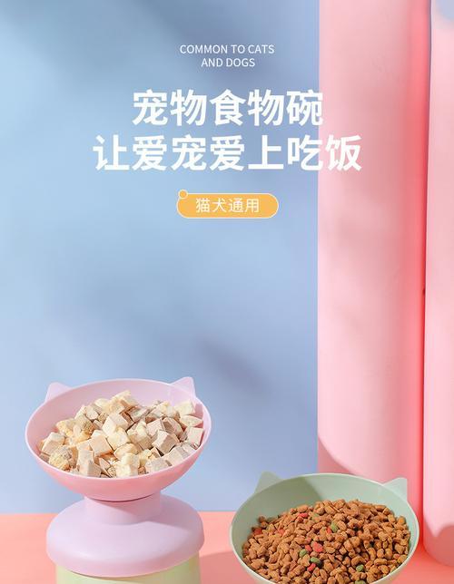 斜口猫粮碗的正确放置方法是什么？有哪些好处？