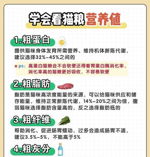 晚上吃哪种猫粮不会发胖？健康选择是什么？