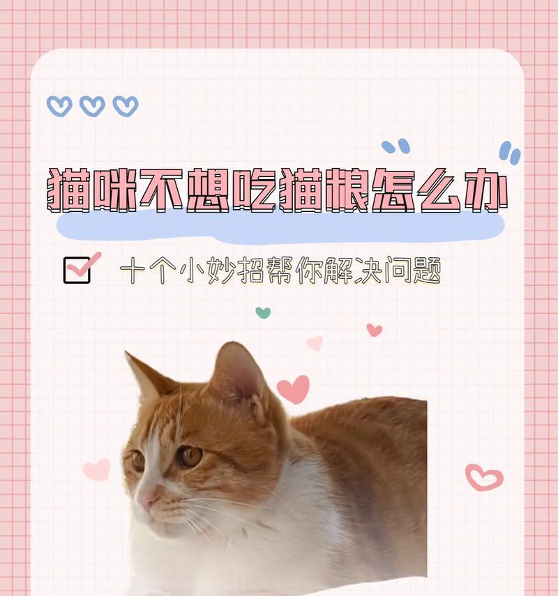 怎么让猫带东西吃猫粮不掉毛？有效减少掉毛的技巧是什么？