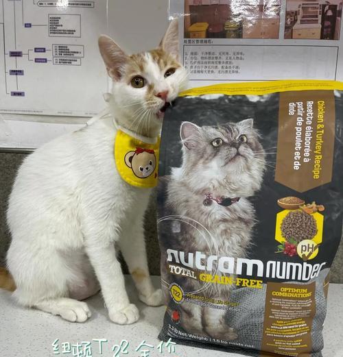 猫咪去后厨偷吃猫粮怎么处理？如何防止猫咪偷食？