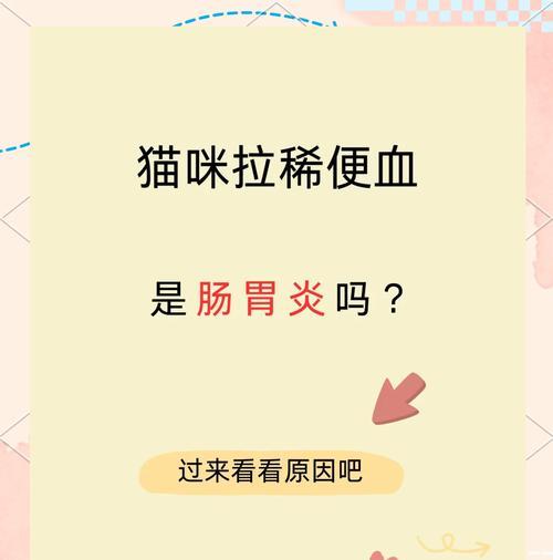 猫小闹猫粮导致猫咪拉稀的原因是什么？