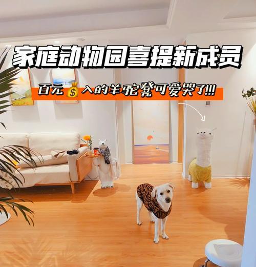 羊驼铺垫用哪种草更美观？羊驼的饲养环境如何布置？