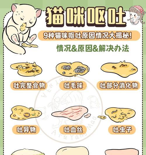 猫咪吃凉猫粮呕吐的原因是什么？