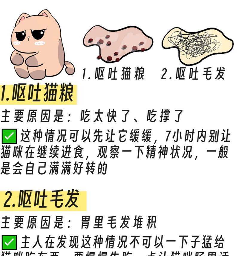 猫咪吃凉猫粮呕吐的原因是什么？
