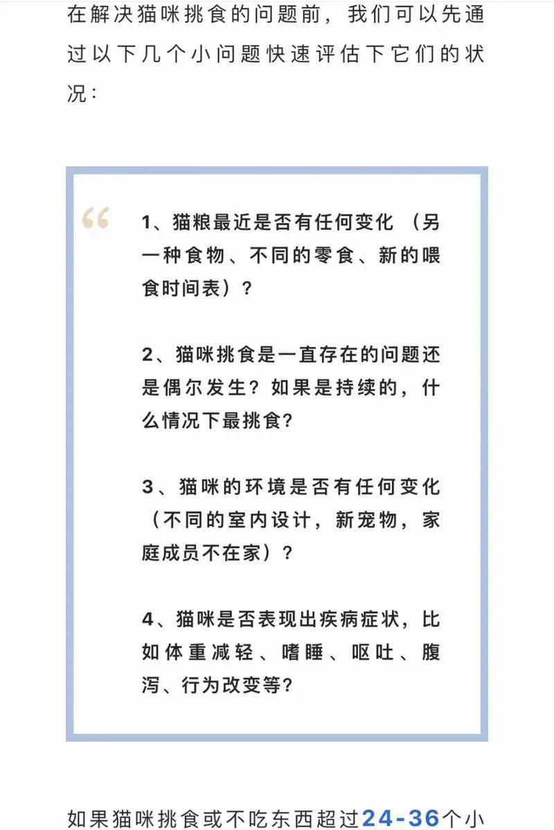 猫咪为何挠食盆？是饥饿还是其他原因？