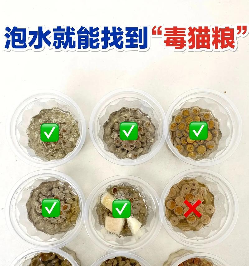 如何正确地给猫粮泡水喂猫？