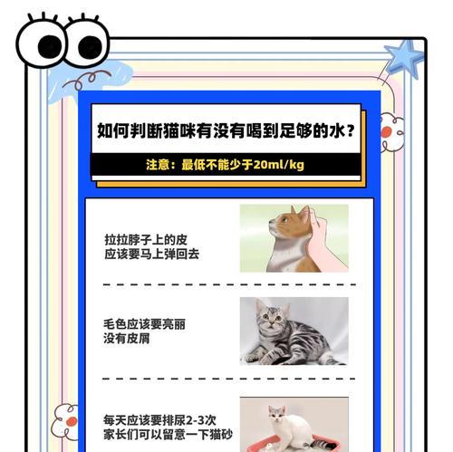 如何正确地给猫粮泡水喂猫？