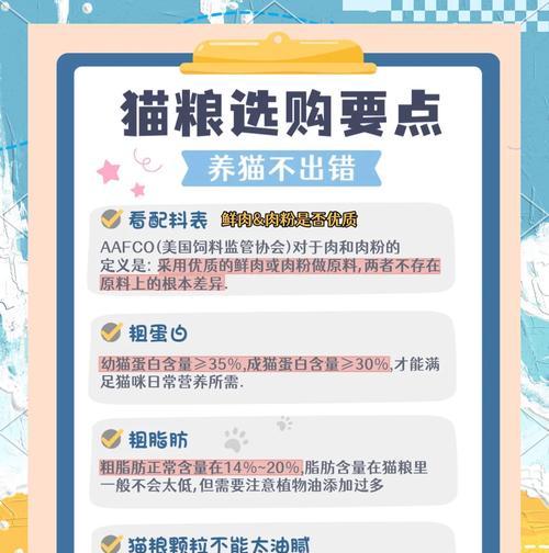 猫咪如何选择合适的猫粮？有哪些标准和建议？