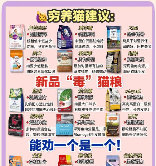 猫咪如何选择合适的猫粮？有哪些标准和建议？