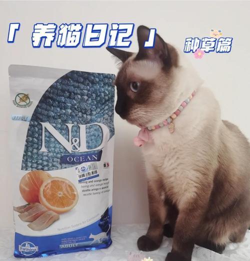 小莓猫最适合吃哪种猫粮？